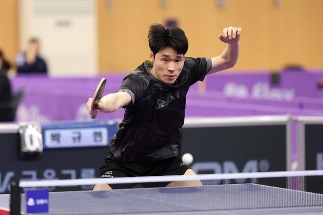 종별탁구선수권 단식 경기를 벌이는 장우진 [대한탁구협회 제공. 재판매 및 DB 금지]