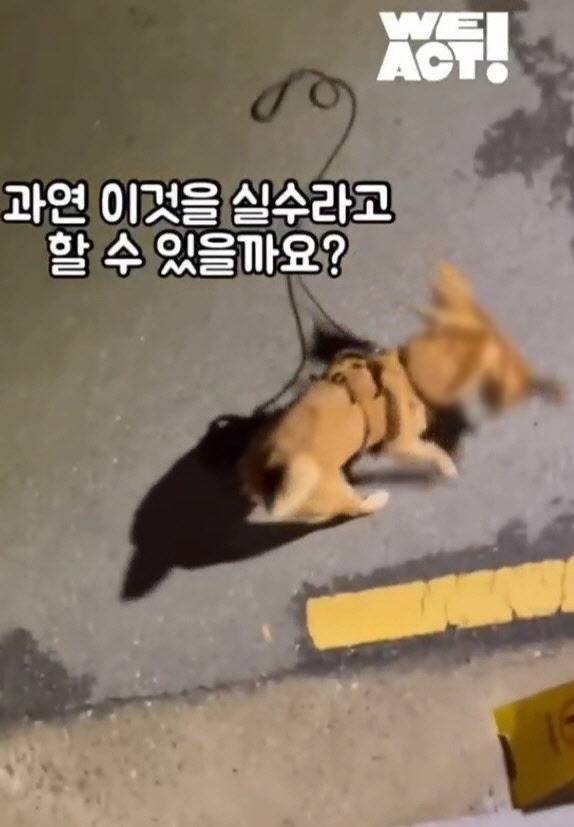 사진=위액트 SNS