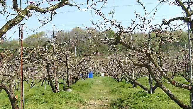 [전주MBC 자료사진]