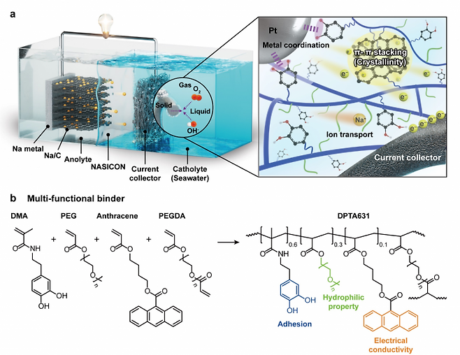 해수 전지용 고분자 바인더의 제작 개요.