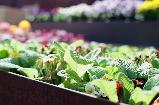 7ce48607c0876cf723eaf3e1329c706c0cb471086a767b7b381e6d86fcb5e554c401f52a011258a5b229b1459a0cf5767ab9a67f81