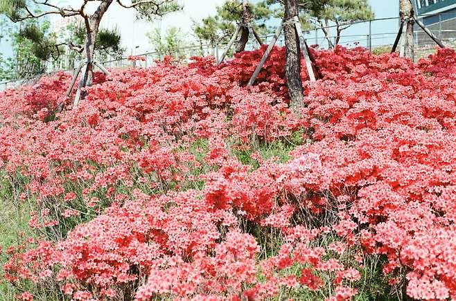 79e88276c68b6a8723e881e44f9c70191ac7581faeae0b51b3ccfd522559b7b76d88f537a6759ab9d84489e0e7639ec9e09163bddc