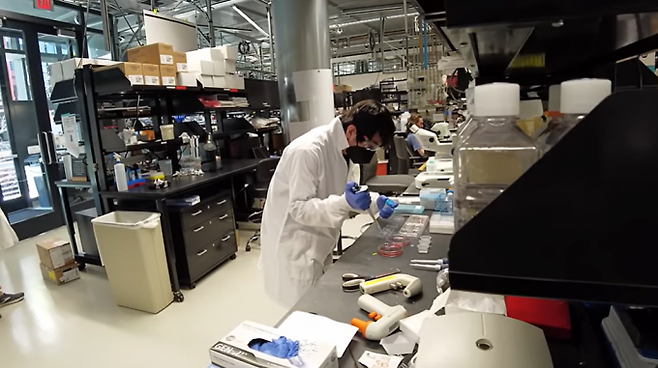 세르지우 파스카 미국 스탠퍼드대 교수 연구실에서 연구원이 실험을 실시하고 있다. Sergiu Pasca Lab 유튜브 캡처