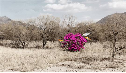 2024년에 발표한 '귀로(歸路, way back)'시리즈 두 번째 작품.