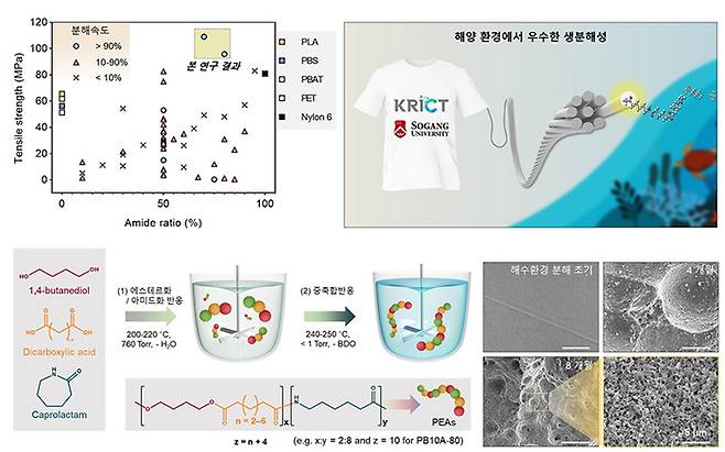 친환경 폴리에스터-아마이드(PEA) 소재 연구결과