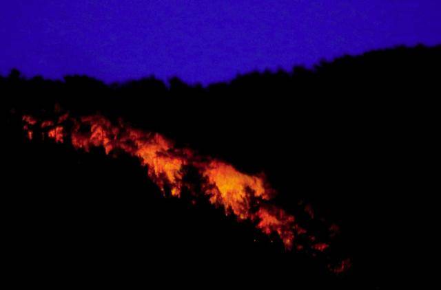 26일 강원 인제군에서 발생한 산불이 밤에도 능선을 태우고 있다. 인제군 제공