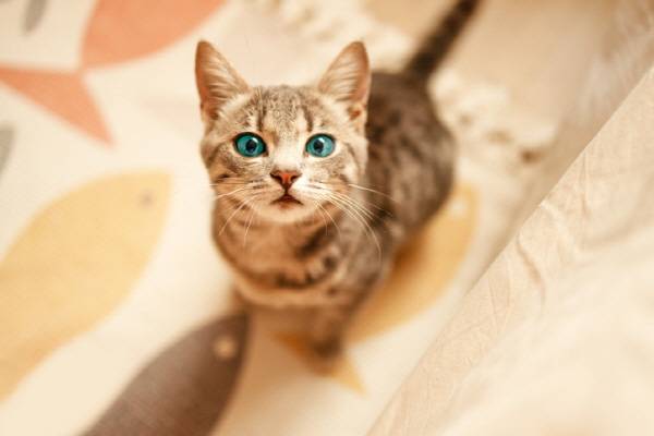 사진=게티이미지뱅크