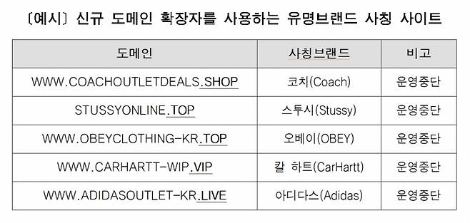 서울시가 적발한. 유명 브랜드 사칭 사이트 /자료=서울시