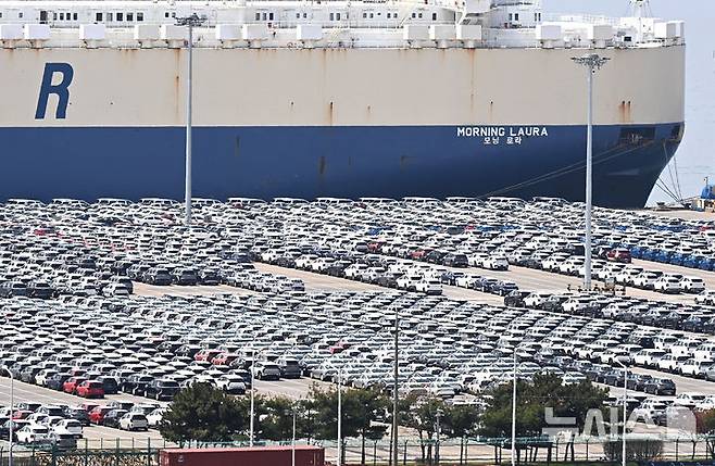 [평택=뉴시스] 김종택 기자 = 21일 경기 평택항 자동차 전용부두에 선적을 기다리는 수출용 차량이 세워져 있다.2025.04.21. jtk@newsis.com