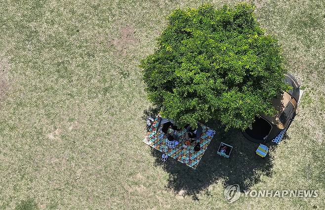 나무 그늘에서 (대구=연합뉴스) 윤관식 기자 = 따뜻한 날씨를 보인 26일 대구 달성군 강정보디아크광장을 찾은 시민들이 나무 그늘에서 나들이를 즐기고 있다. 2025.4.26 psik@yna.co.kr