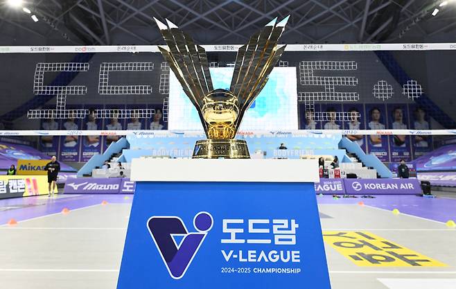 제공 | 한국배구연맹