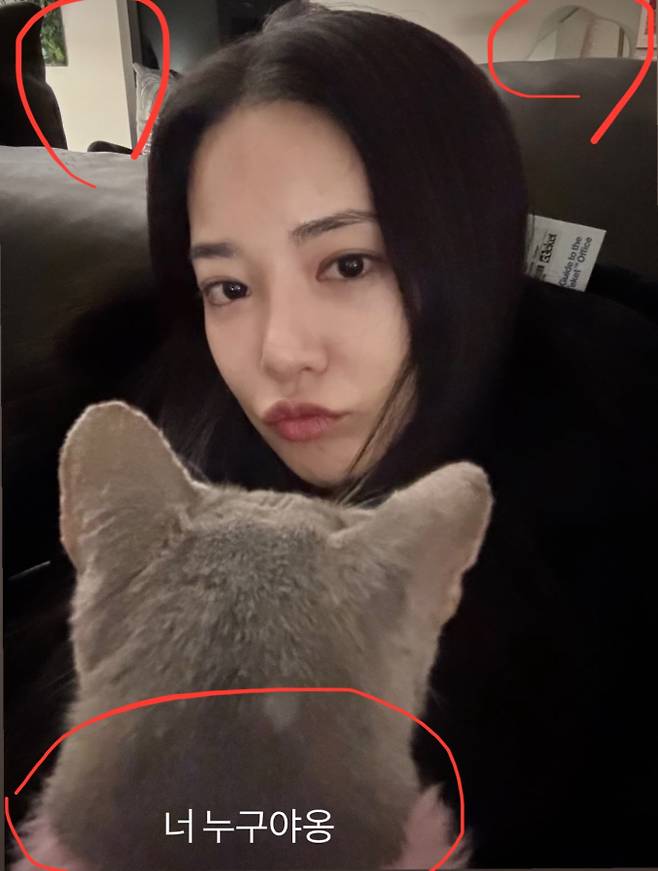 “집·고양이 똑같아”… 지드래곤·이주연 열애설 재점화 (사진: 온라인 커뮤니티)