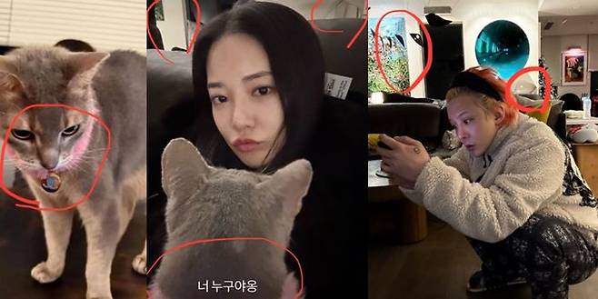 ⓒ온라인 커뮤니티