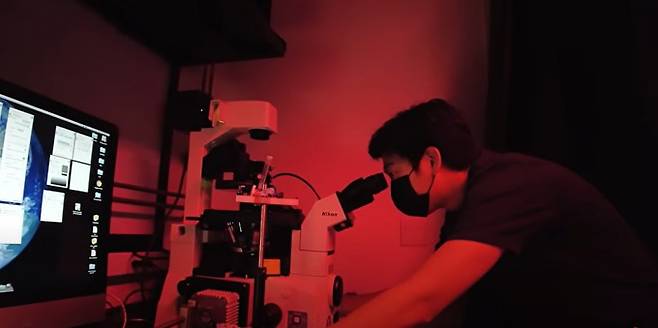 김지일 미국 스탠퍼드대 박사후연구원이 실험 기구를 들여다보고 있다.&nbsp;사진 출처Sergiu Pasca Lab