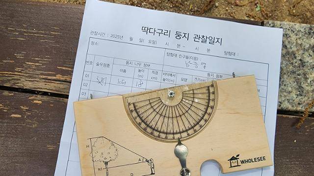 27일 서울 종로구 종묘 숲에서 딱다구리보전회와 참가자들이 이날 참여자들은 ‘수고 측정기’를 이용해 나무의 높이를 재는 방법을 실습했다. 딱다구리보전회 제공