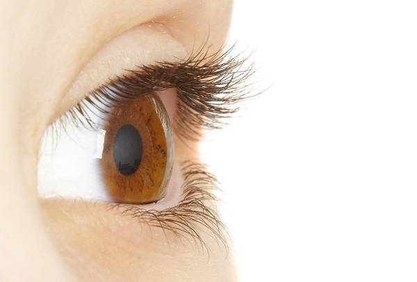 눈 건강이 치매 위험을 조기에 알려줄 수 있다는 연구 결과가 나왔다./사진=클립아트코리아