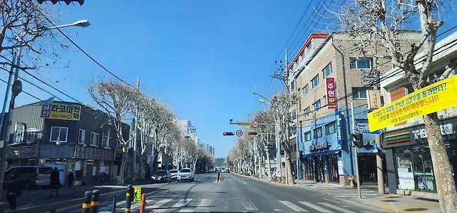 대구 도시철도 4호선 건설이 예정된 북구 대현동 도로의 모습. 왕복 5차로 도로의 한 가운데에 약 8ｍ 폭의 상판이 놓일 예정이다. 대구안전생활실천시민연합 제공