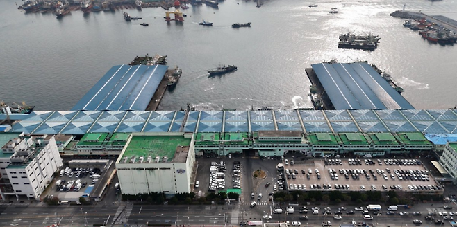 부산공동어시장 전경. 국민일보db