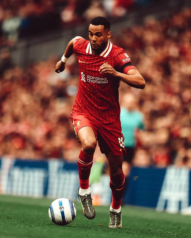 코디 각포 인스타그램 캡처.