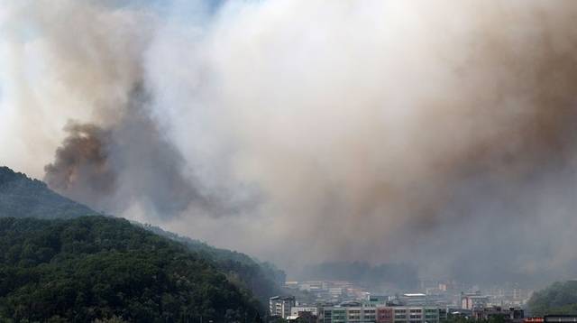 28일 오후 2시1분쯤 대구 북구 노곡동 함지산에서 불이 나 연기가 바람을 타고 도심으로 번지고 있다. 뉴시스