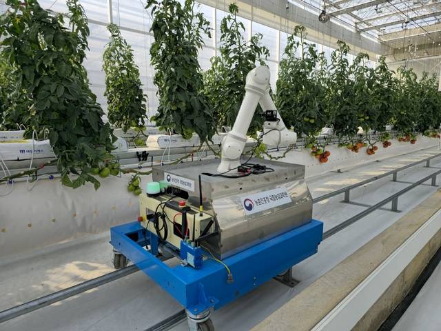 수확 가능 열매를 선별하고 수확 시기를 예측하는 모니터링 로봇이 레일을 따라 움직이고 있다. 농촌진흥청