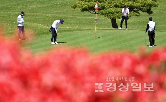 ▲ 제27회 울산아마골프대회 참가자들이 울산CC의 화려한 봄꽃을 배경으로 경기를 펼치고 있다.