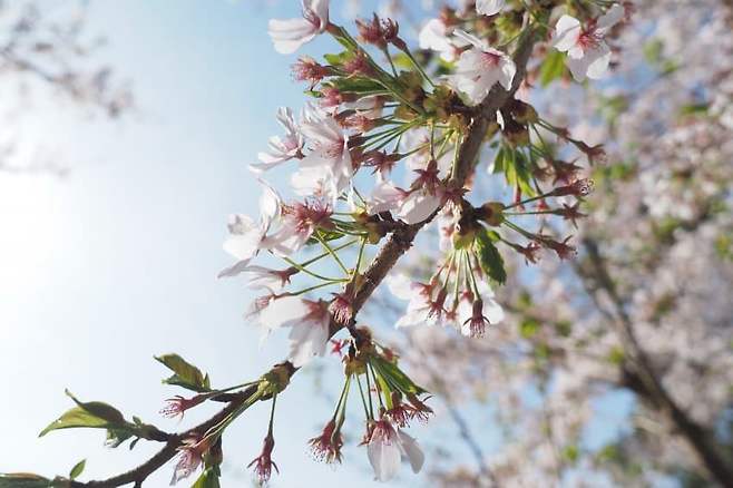 0bee867fb2866ff523eff2e0409c7069aba64fa30fccf22369c0882622026317921a9c18d58a694deccdf19191c9138396c63abf0b