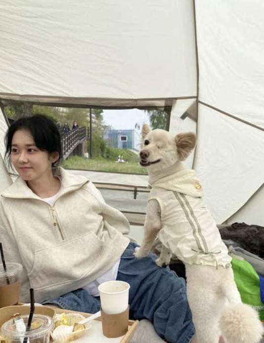 장나라 소셜 계정 캡처