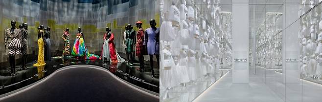 디올 ©Kyungsub Shin 제공