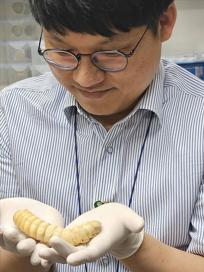 장수하늘소 애벌레 설명하는 김창준 임업연구사 [촬영 조승한]