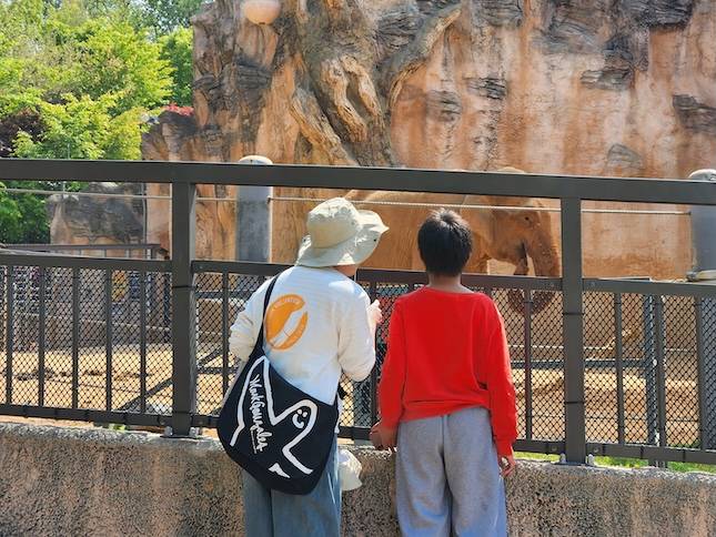 지난 28일 서울 광진구 서울어린이대공원에서 교촌에프앤비 '바르고 봉사단'이 구산초등학교 특수학급 학생들과 체험학습을 하고 있다. / 사진=교촌에프앤비