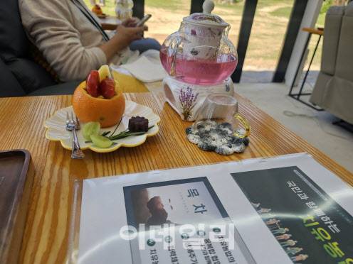 ‘우리들의 정원’ 족욕 테라피(사진=김미영 기자)