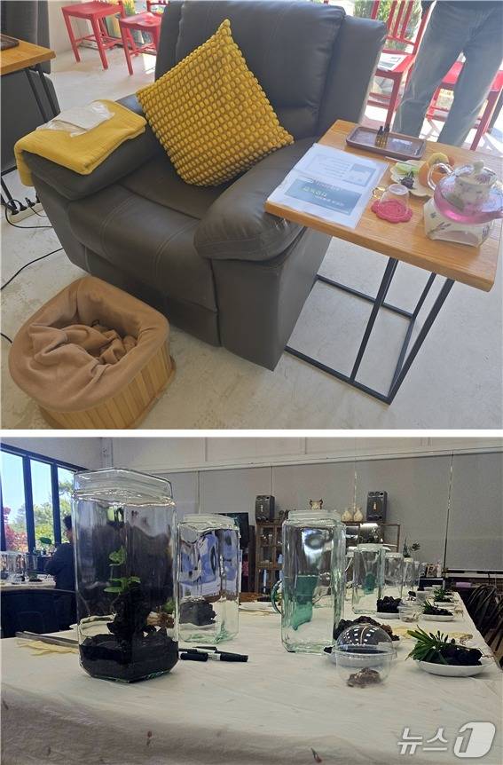 우리들의 농장 족욕장과 비바리움 체험장 2025.04.30 ⓒ 뉴스1 김승준 기자