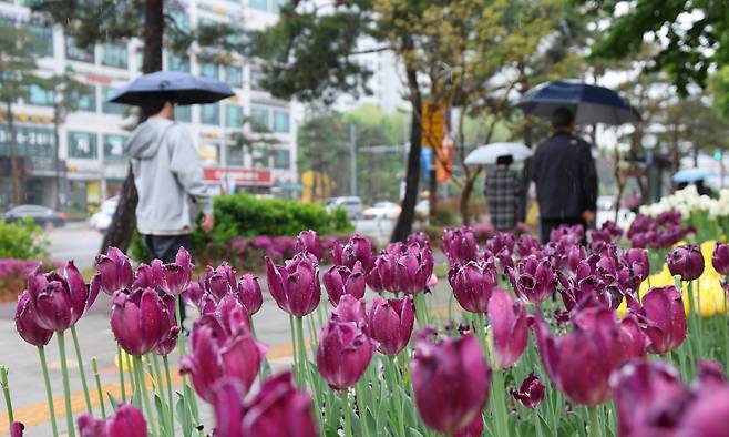 봄비가 내린 지난 22일 시민들이 우산을 쓰고 지나가고 있다. /뉴스1