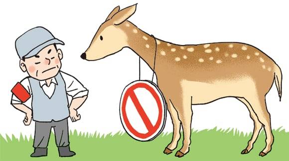 일러스트=김성규