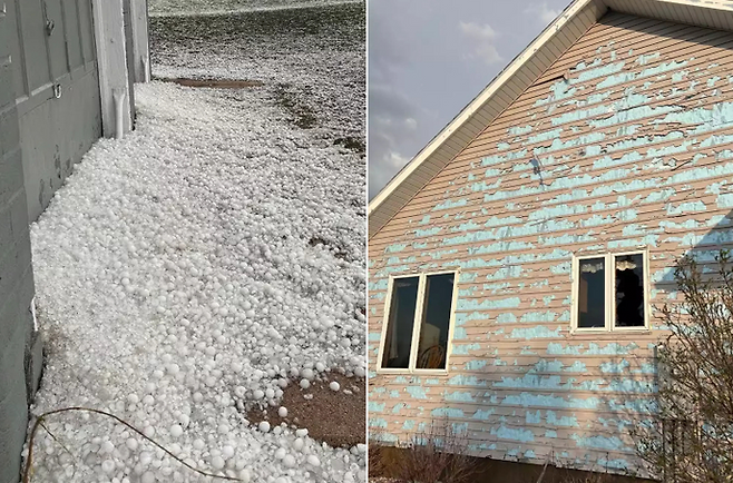 ⓒCHELSI PETTIT 틱톡