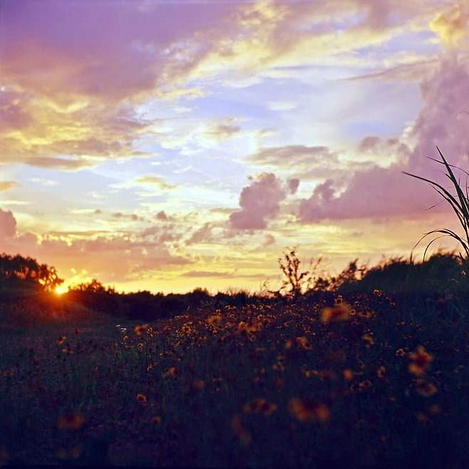 2bb4dc2be6d335a37cbe9be74683716d7db4ead083c1481ad63eacc0f28a49fa7af6497b7c78c4d1e6960fca93