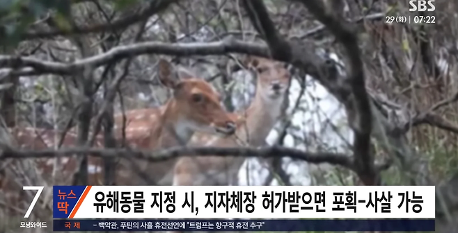 image.png 유해동물로 지정될 예정인 꽃사슴
