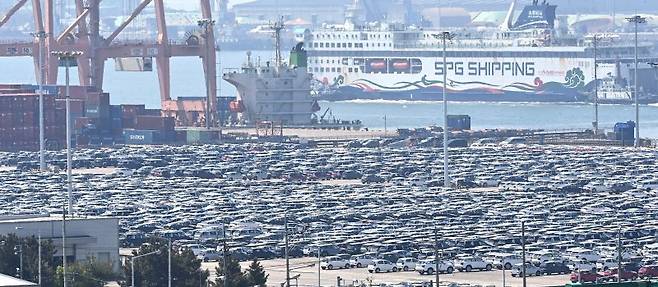 지난 29일 경기 평택항 자동차 전용부두에 선적을 기다리는 수출용 차량이 세워져 있다. 뉴시스