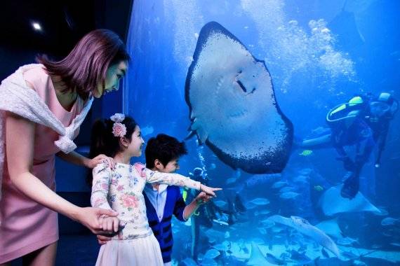 한화 아쿠아플라넷 일산 메인수조