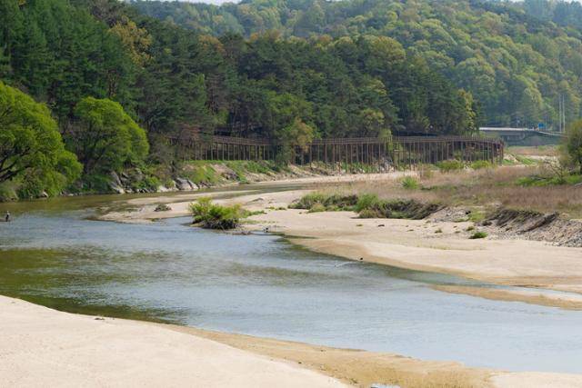 서천의 모래사장과 산의 숲 덕에 지나는 풍경이 아름답다.