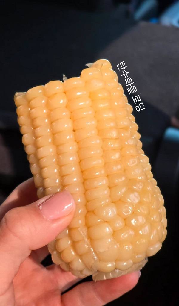 구독자 178만 명을 보유한 운동 유튜버 심으뜸(34)이 옥수수로 탄수화물을 보충했다./사진=심으뜸 인스타그램 캡처