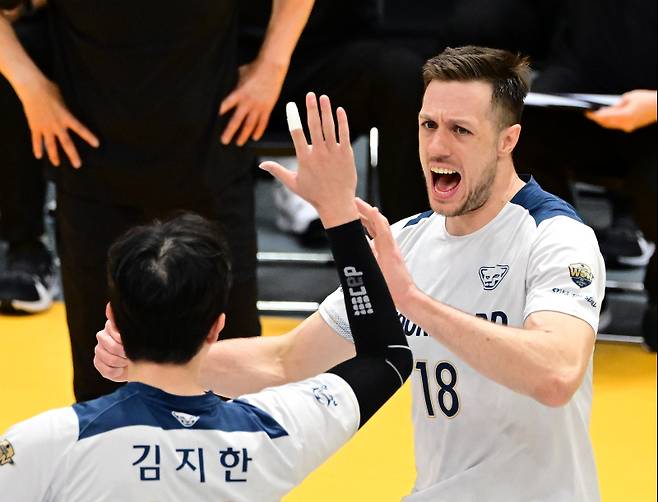 마테이. KOVO 제공