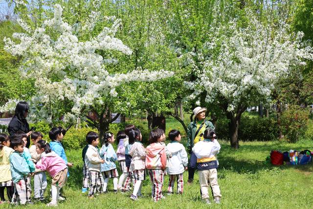 ▲ 어린이날 연휴를 사흘 앞둔 29일 인천 부평구 원적산공원에서 야외학습 나온 어린이들이 숲해설가 선생님의 설명을 듣고 있다.연합뉴스