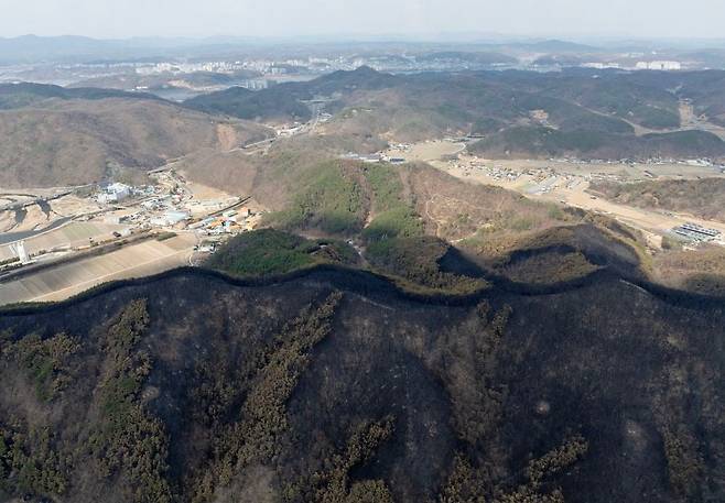 지난달 30일 주불 진화가 완료된 경북 안동시 남후면 일대 산들이 까맣게 타 있다. 멀리 안동 시내가 보인다. 연합뉴스