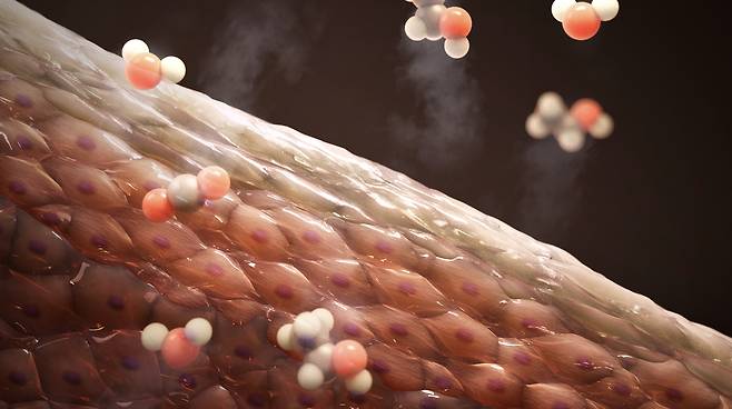 피부를 통해 기체분자들이 들어오고 나가는 ‘피부 기체 흐름(Epidermal Gas Flux)’의 개념을 시각적으로 표현한 일러스트레이션.[KIST 제공]