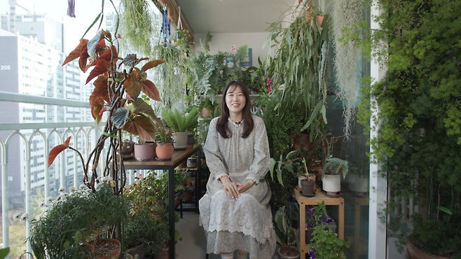 아리랑 TV