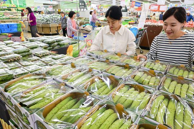 농협유통 관계자가 오이 상품을 살펴보고 있다. 사진=농협유통