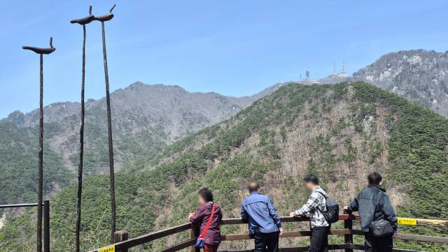 관광객들이 대구 팔공산 전망대에서 시원한 경치를 만끽하고 있다. 남태우 기자