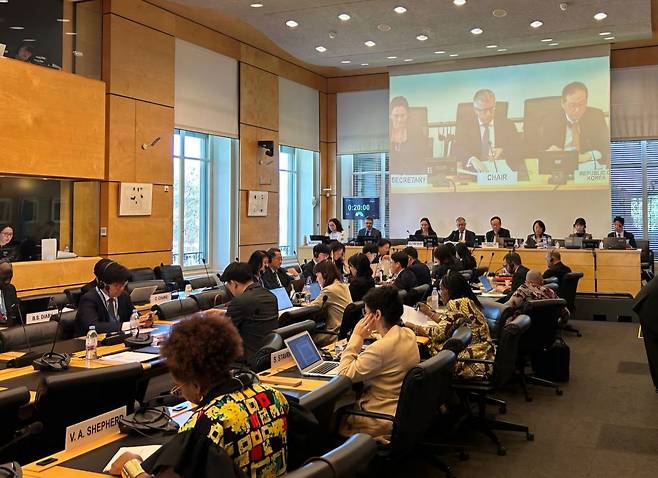 스위스 제네바에서 유엔 인종차별철폐협약에 대한 대한민국 국가보고서 심의가 진행되고 있다.(외교부 제공)
